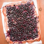 BlueberryTartSQ2