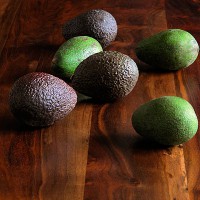 Hass & Fuerte Avocados