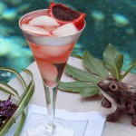 Champagne Punch