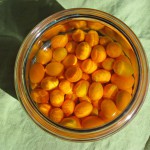 kumquats in vodka