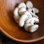 oyster mushrooms