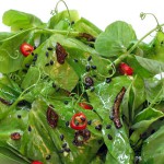 Pea Tendril Salad with a Warm Sesame and Red Chili Dressing