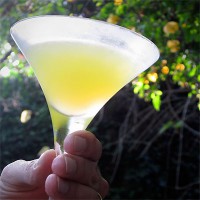 Seville cocktail from Sippity Sup