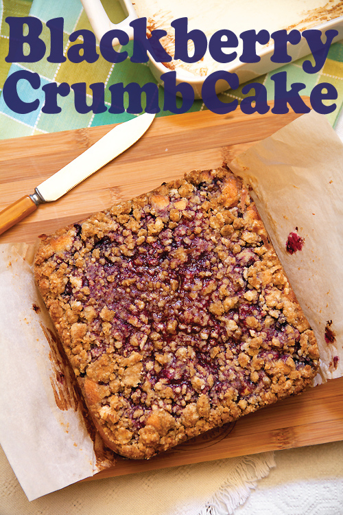 Blackberry Crumb Cake