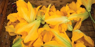Fresh blooms for Sippity Sup's squash blossom pizza.
