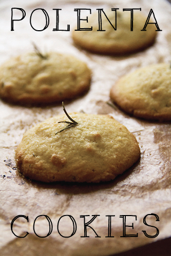 Orange Rosemary Polenta Cookies