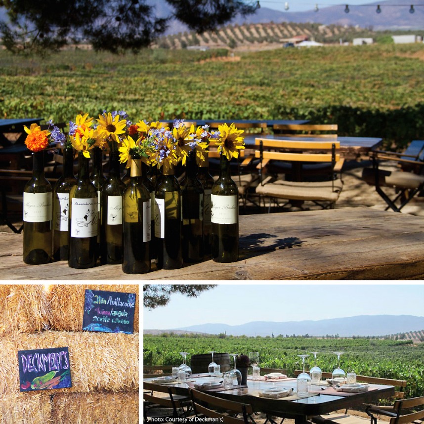 Eating in Valle de Guadalupe Deckmans 