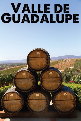 Valle de Guadalupe