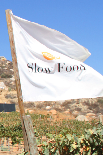 Slow Food Valle de Guadalupe