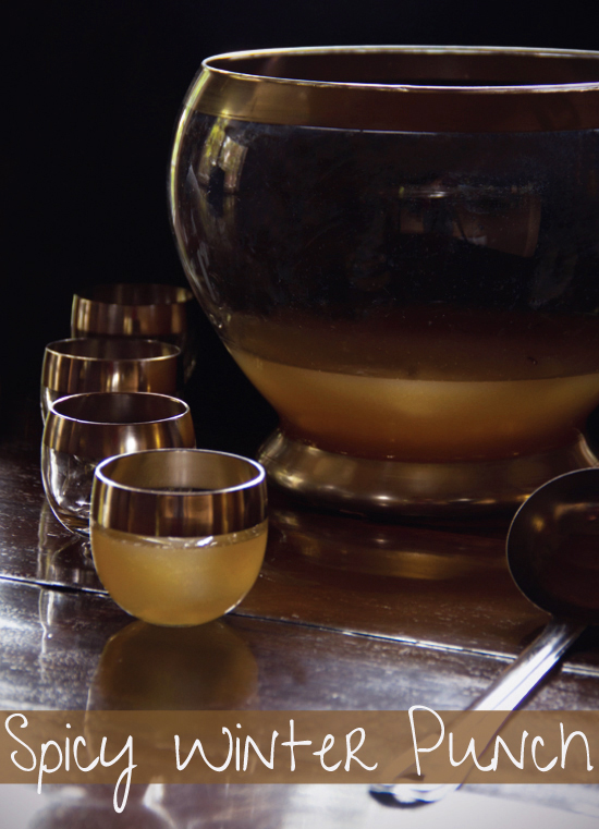 Spiced Winter Punch