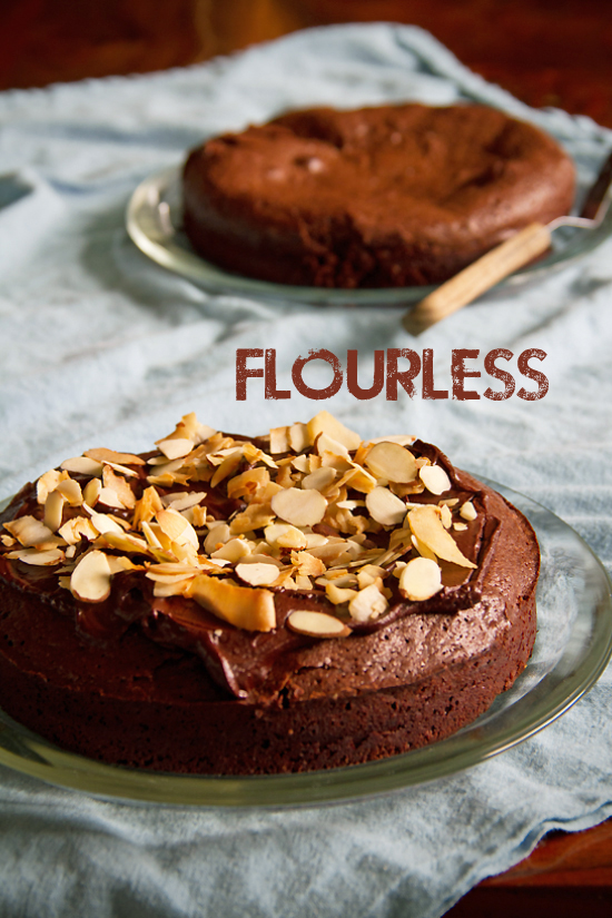 Flourless Chocolate Cake with Almonds and Coconut