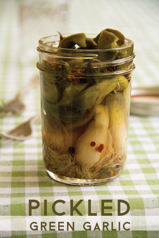 Pickled Green Garlic for Spring - SippitySup