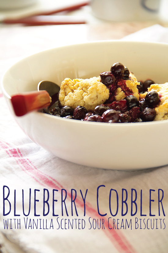 Blueberry Cobbler