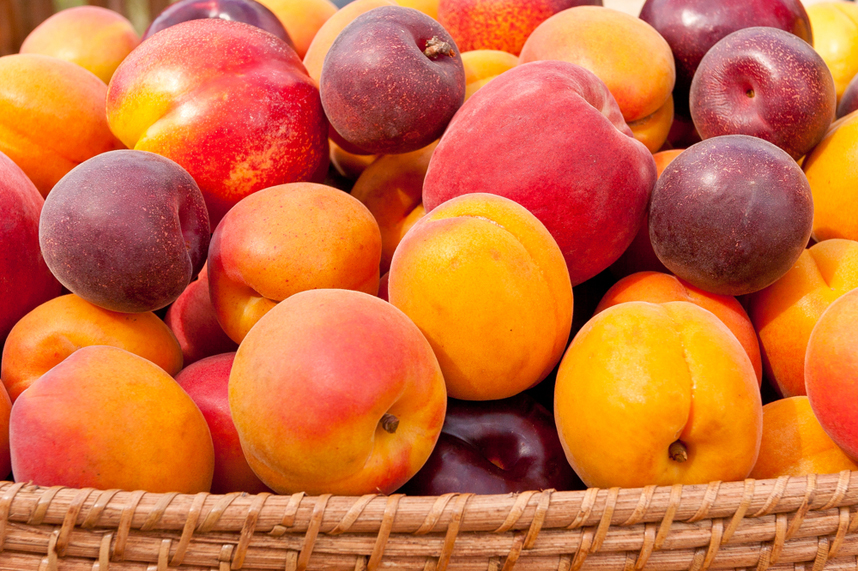 choosing stone fruit