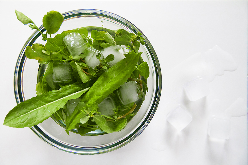 refreshing salad greens in ice water