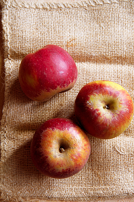 Black Twig Apples (Arkansas 1868)