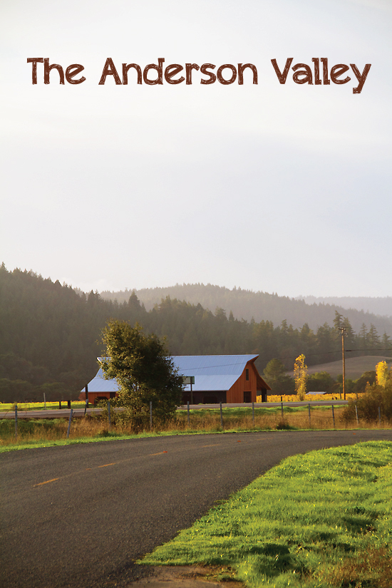 ﻿Anderson Valley, CA