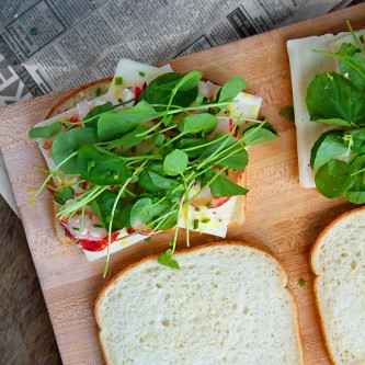 Lobster Grilled Cheese with Havarti and Watercress