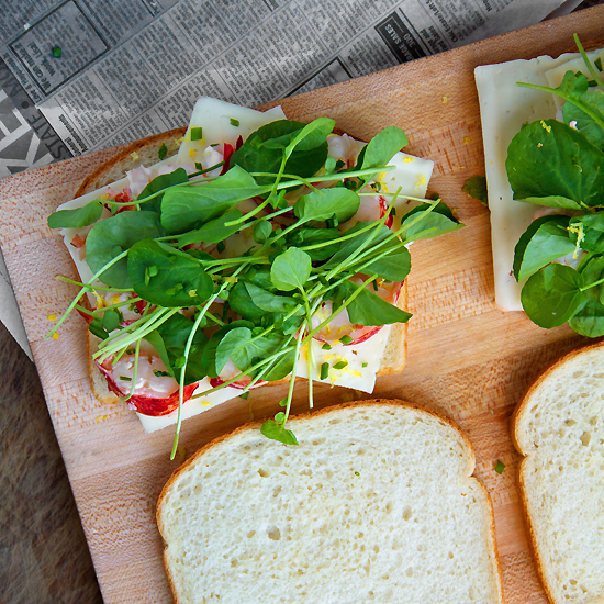 Lobster Grilled Cheese with Havarti and Watercress