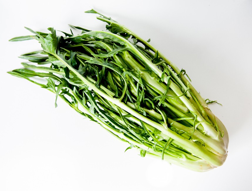 Puntarelle