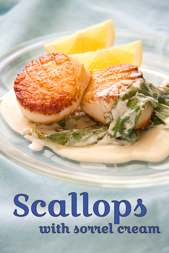 Seared Scallops with Sorrel Cream