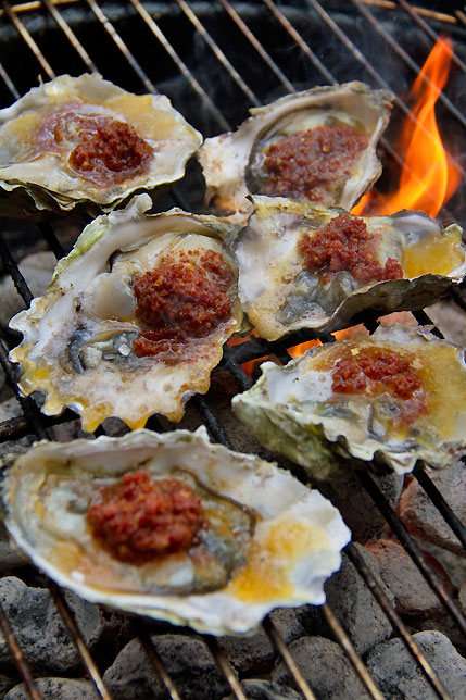 oysters on the grill