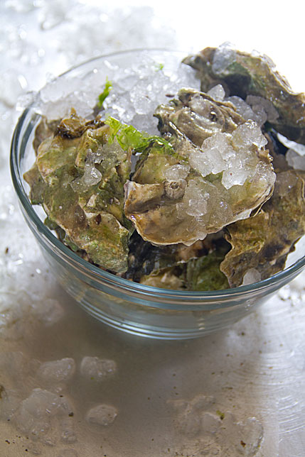 oysters on ice