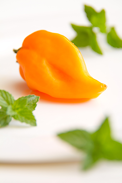 Habanero Mint