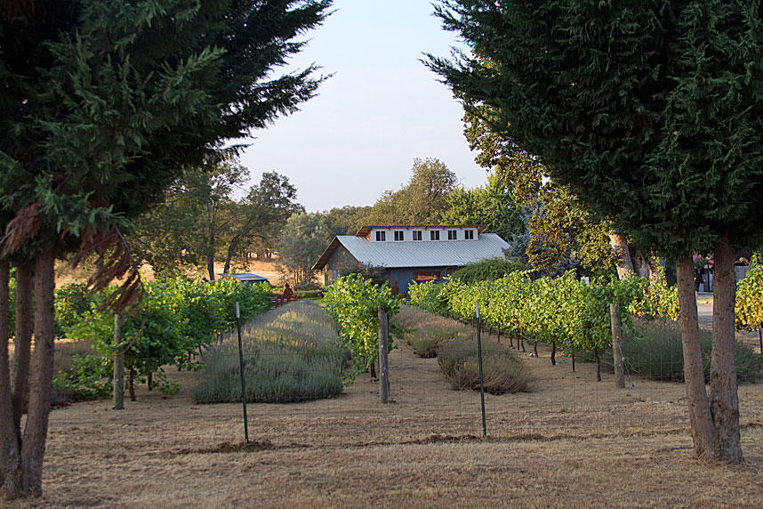 Wine Tasting in Jacksonville, Oregon? SippitySup