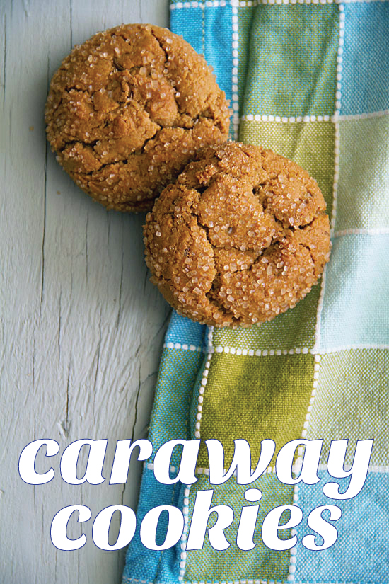 Molasses Spice Cookies with Caraway