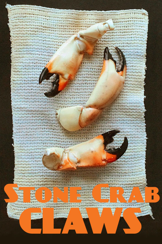 Stone Crabs