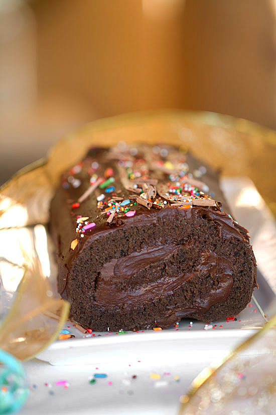 Simple Chocolate Yule Log Holiday Cake