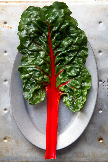 Red Chard