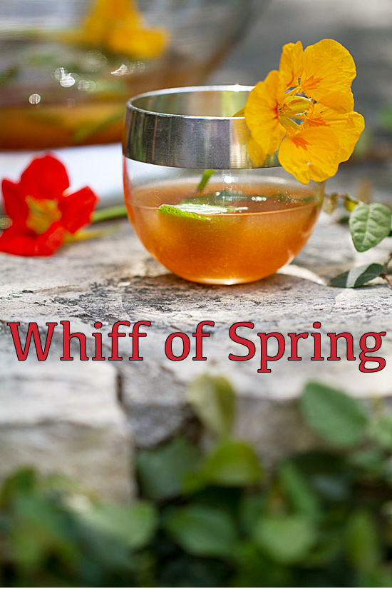 Whiff Of Spring Elderflower Punch