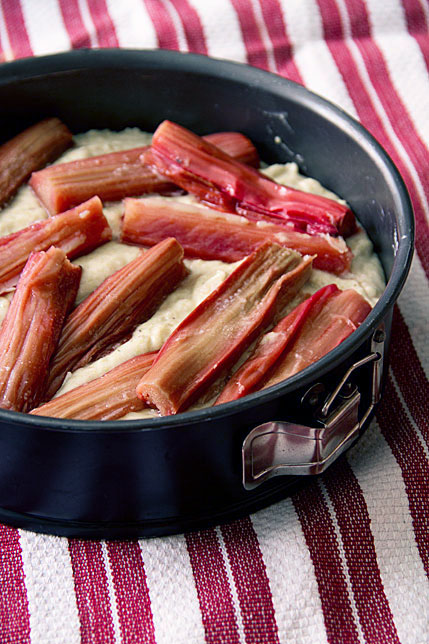 Rhubarb Cake