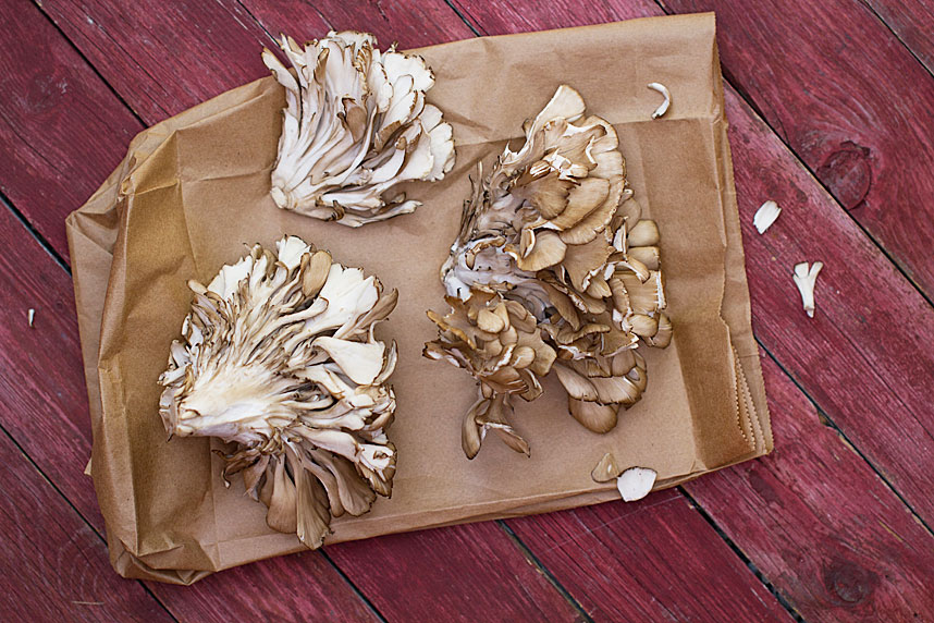 Grilled Maitake Mushrooms