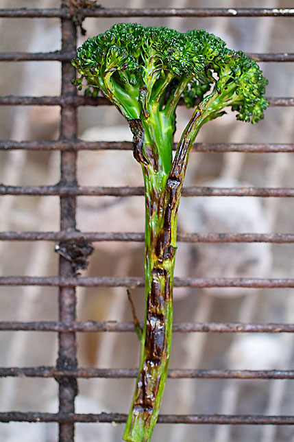 Grilled Broccolini