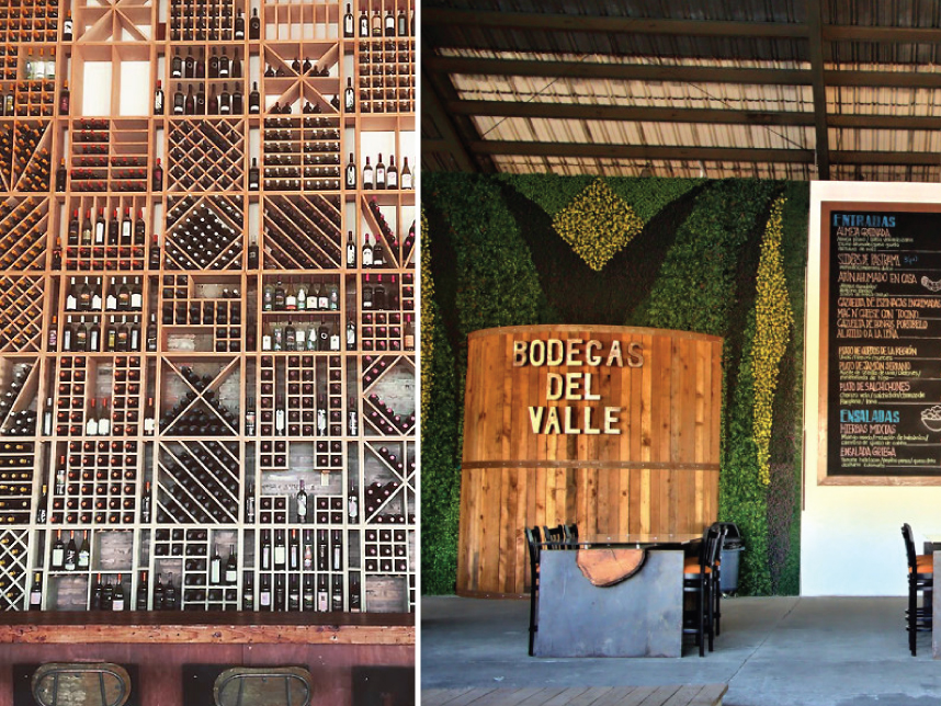 Bodegas del Valle, Valle de Guadalupe Road Trip