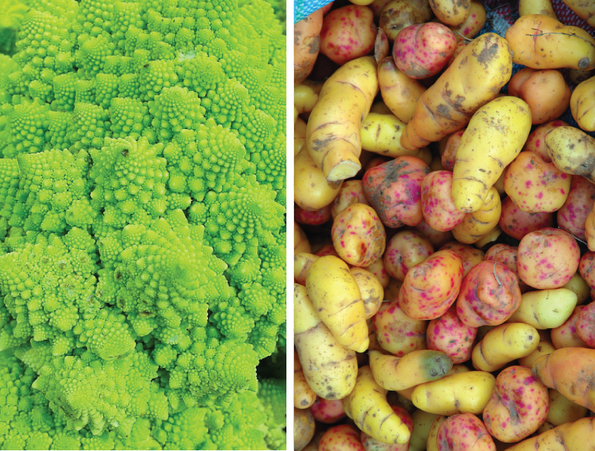 Romanesco Cauliflower and Oca