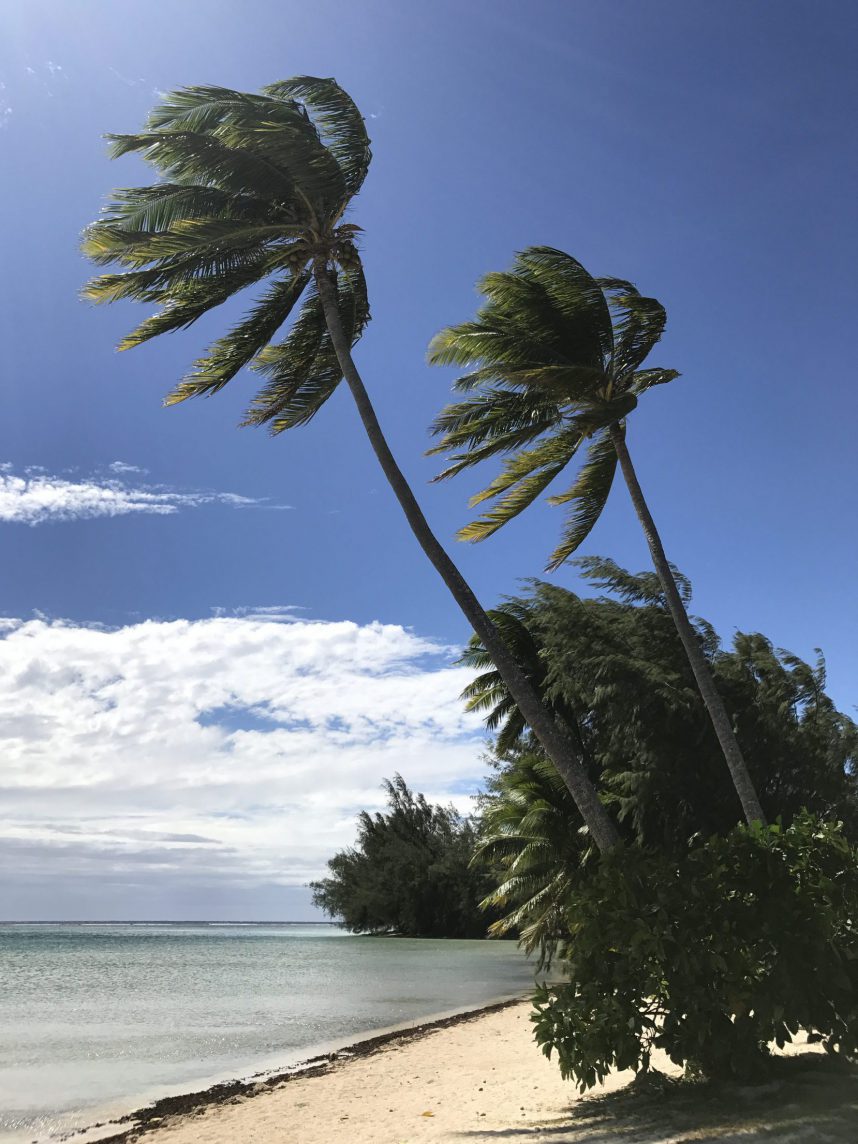 Windy beach Moorea