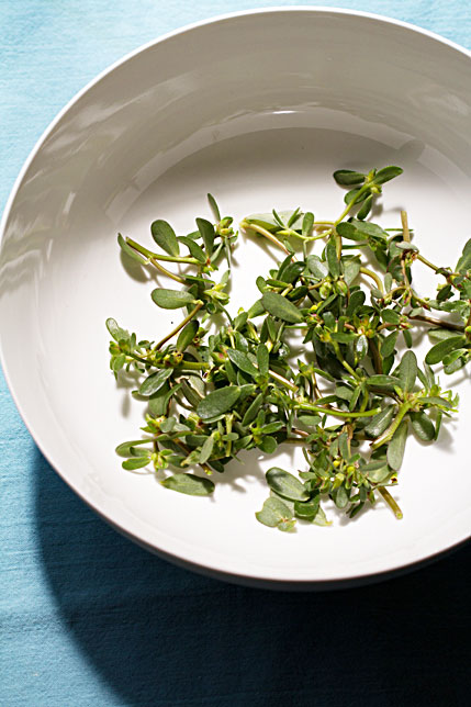 Purslane in a Bowl