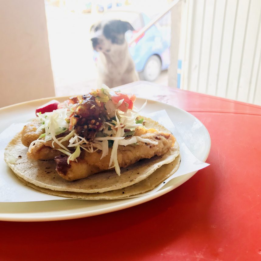 Fish Taco from Del Rey in Loreto, Mexico