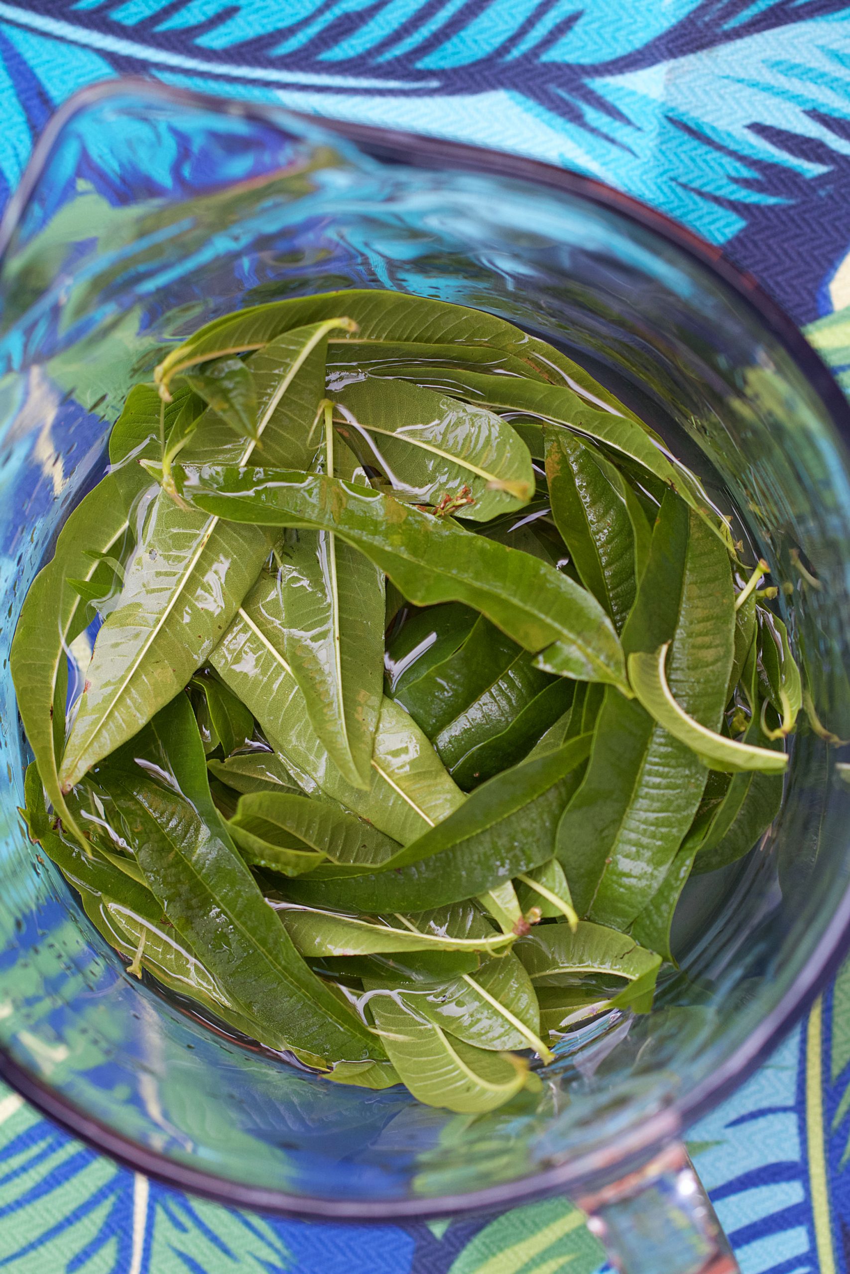 Lemon Verbena Infused Vodka (for the Vesper Martini)