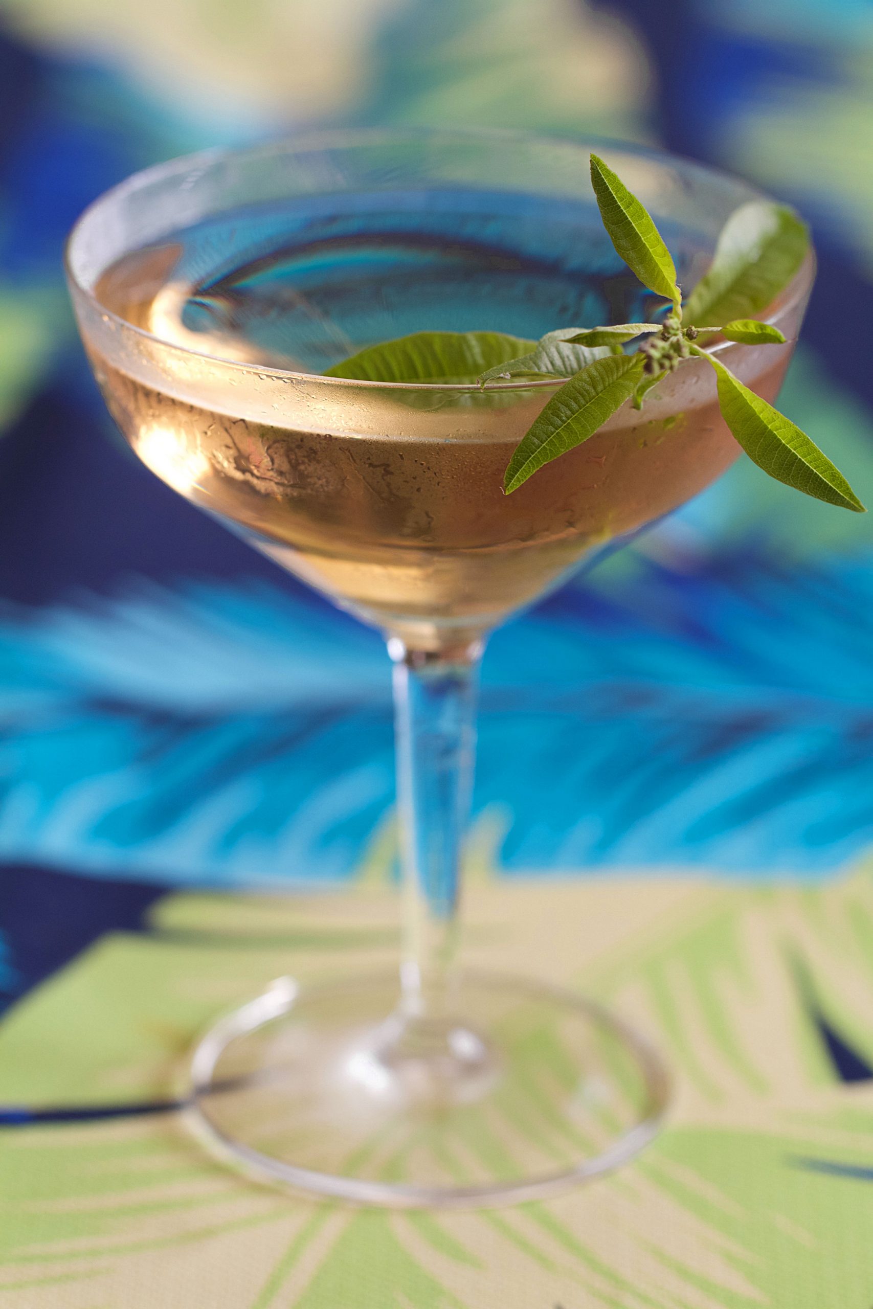 Home-Grown Lemon Verbena Vesper Martini