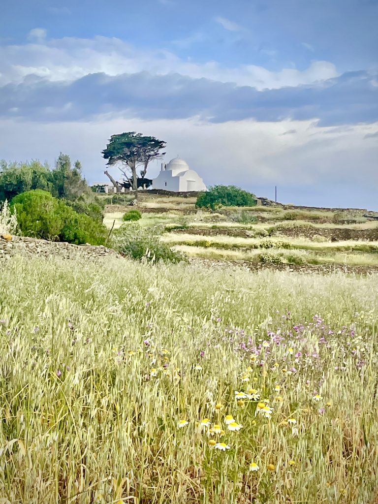 Sifnos week 6