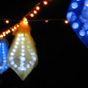 lanterns in palm springs