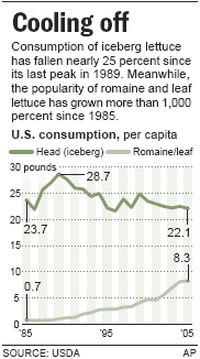 lettuce sales chart