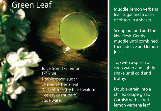 Green Leaf Mocktail from The Table Set Podcast