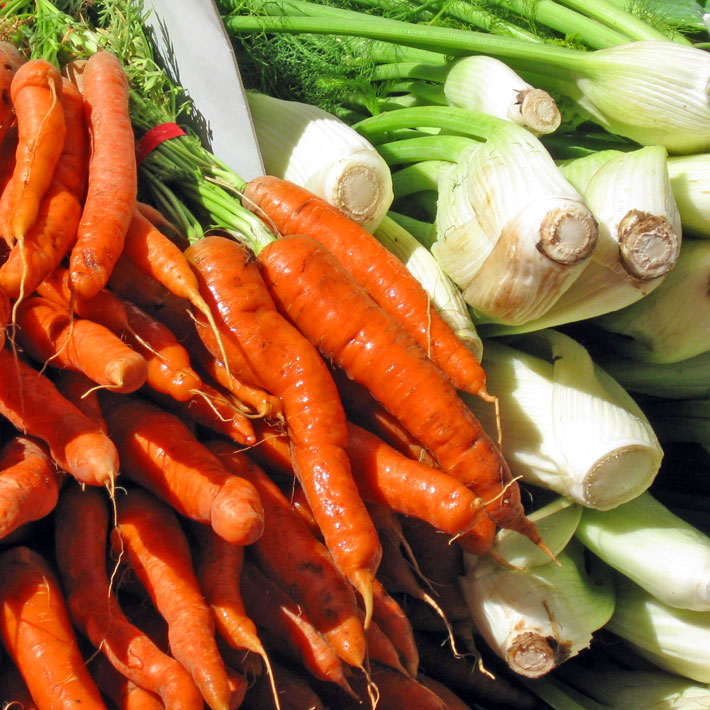 carrots and fennel bulb