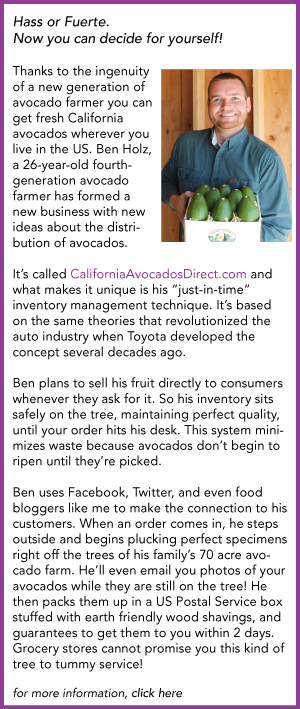 Ben Holz California Avocados Direct